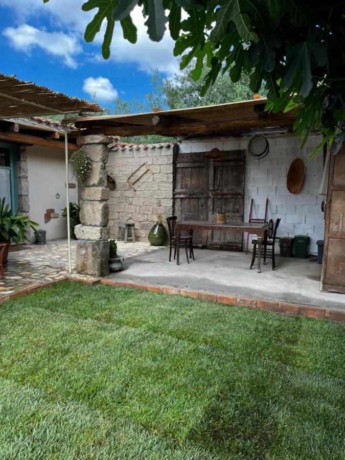 Graziosa Stanza Campidanese Su Terzu Guest House Oristano Exterior photo